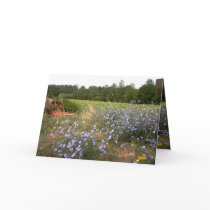 Fleurs Sauvages cards