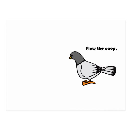 Flew the Coop Gray Pigeon Cartoon Postcard Zazzle
