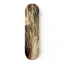 Flex skateboards
