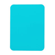 Flexible Magnet with Aqua Blue Background
