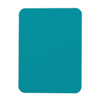 Flexible Magnet with   Teal Background