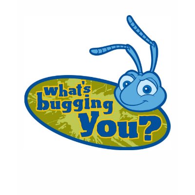 Flick: What's bugging you? Disney t-shirts