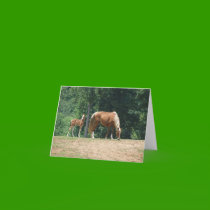 Flicker & Dock Holiday cards