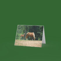 Flicker & Dock Holiday cards by pfdesign Flicker & Dock Holiday cards