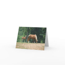 Flicker & Dock Holiday cards