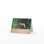 Flicker & Dock Holiday cards