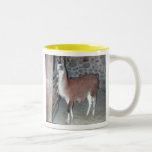 Flickertail in barn mug mugs