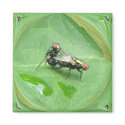 Flies 199 ~ mag magnets