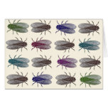 Flies / Fruit Flies from Diderot's Encyclopaedia Cards