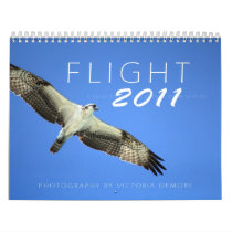 Flight 2011 wall calendar