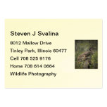Flight Business Card