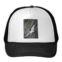 Flight.jpg Trucker Hat