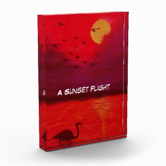 Flight Of Ibis At Sunset