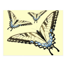 Flight of the Butterfly Postcard