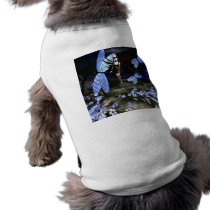 Flight of the Dragonflies pet clothing