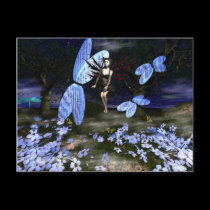 Flight of the Dragonflies postcards