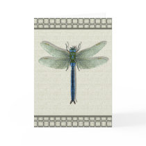Flight of the Dragonfly Card