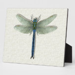 Flight of the Dragonfly plaques