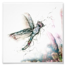Flight Of The Dragonfly Photo