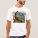 Flight of the Eagle t-shirts