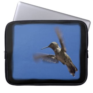 Flight of the Hummingbird Black Edge Laptop Sleeves