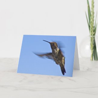 Flight of the Hummingbird Card
