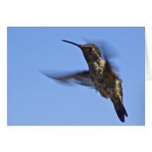 Flight of the Hummingbird Card