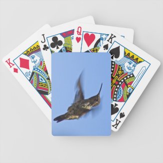 Flight of the Hummingbird Card Deck