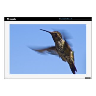 Flight of the Hummingbird Decal For Laptop