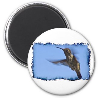 Flight of the Hummingbird Fridge Magnet