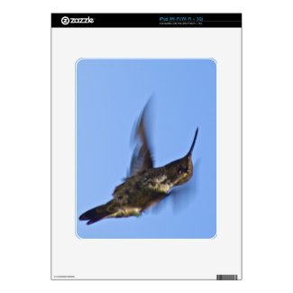 Flight of the Hummingbird Ipad Decal