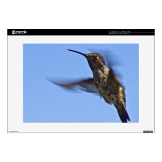 Flight of the Hummingbird Laptop Skin