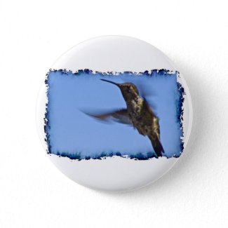 Flight of the Hummingbird Pin