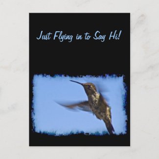 Flight of the Hummingbird Post Cards