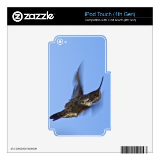 Flight of the Hummingbird Skins For Ipod Touch 4g