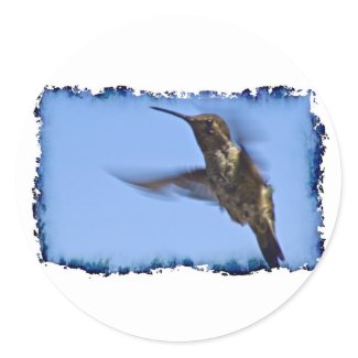 Flight of the Hummingbird Stickers