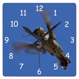 Flight of the Hummingbird Wall Clocks