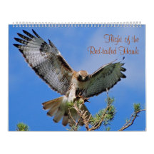 Flight of the Red Hawk Wall Calendar