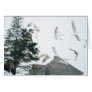 Flight of the Seagulls Greeting Cards