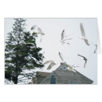 Flight of the Seagulls cards