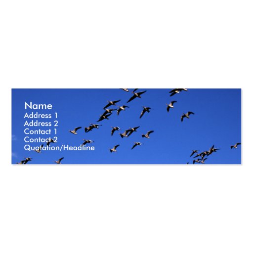Flight of the Wild Geese | Business Cards (front side)