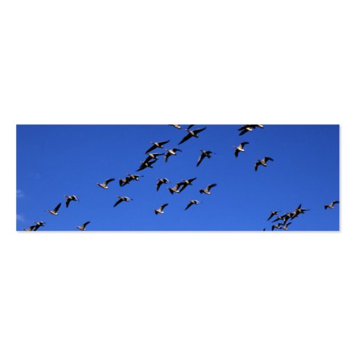 Flight of the Wild Geese | Business Cards (back side)