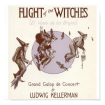 Flight of the Witches posters