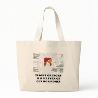 Flight Or Fight Is A Matter Of Gut Hormones bag