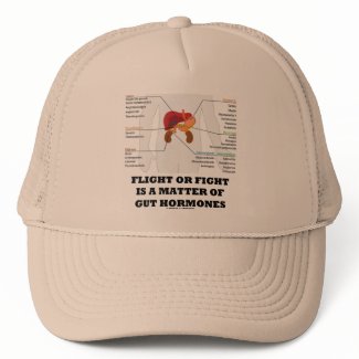 Flight Or Fight Is A Matter Of Gut Hormones hat