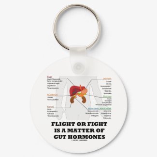 Flight Or Fight Is A Matter Of Gut Hormones keychain