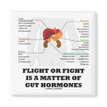Flight Or Fight Is A Matter Of Gut Hormones magnets