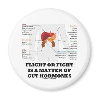 Flight Or Fight Is A Matter Of Gut Hormones magnet