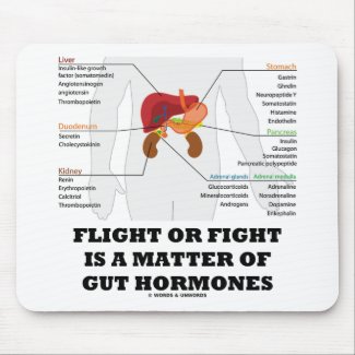 Flight Or Fight Is A Matter Of Gut Hormones mousepad