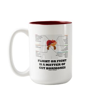 Flight Or Fight Is A Matter Of Gut Hormones mug